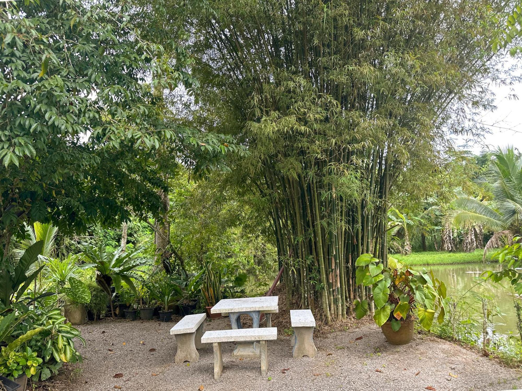 Baan Panmala Guesthouse - Ao Luek, Krabi town Dış mekan fotoğraf
